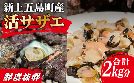 新上五島町産活サザエ 殻付き1kg+殻付き1kg分スライス[RBK002] さざえ サザエ 海鮮 さざえ サザエ 海鮮 さざえ サザエ 海鮮 さざえ サザエ 海鮮 さざえ サザエ 海鮮九州 長崎