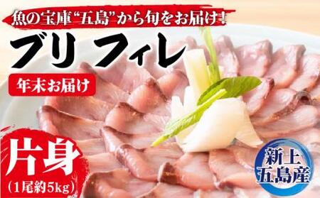 養殖 ブリ（片身フィレ）[RBN005]  九州 長崎
