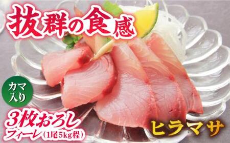 新上五島町産養殖ヒラマサ（ヒラス）フィーレ 3枚おろし（カマ入り）[RBP006] ヒラマサ ヒラス ヒラマサ ヒラス ヒラマサ ヒラス ヒラマサ ヒラス ヒラマサ ヒラス九州 長崎
