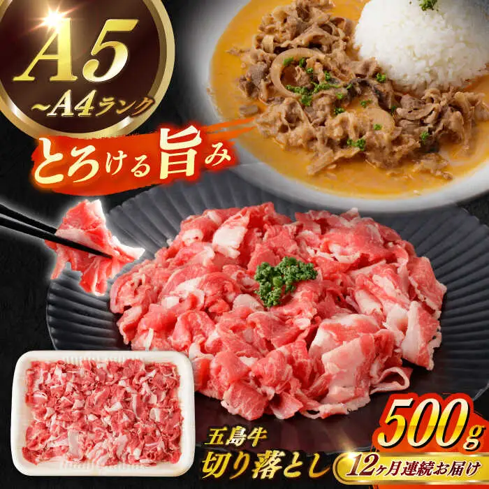 【全12回定期便】五島牛切り落とし約500g[RBP078] 五島牛 切り落とし 定期便 五島牛 切り落とし 定期便 五島牛 切り落とし 定期便 五島牛 切り落とし 定期便九州 長崎