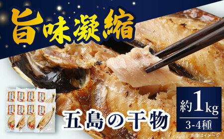 干物 約1kg 3-4種[RBV002] 干物 干物 干物 干物 