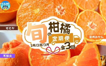 定期便【全3回/1・2・3月】紀州和歌山産旬の柑橘定期便(みかん・不知火・せとか)【tkb382】