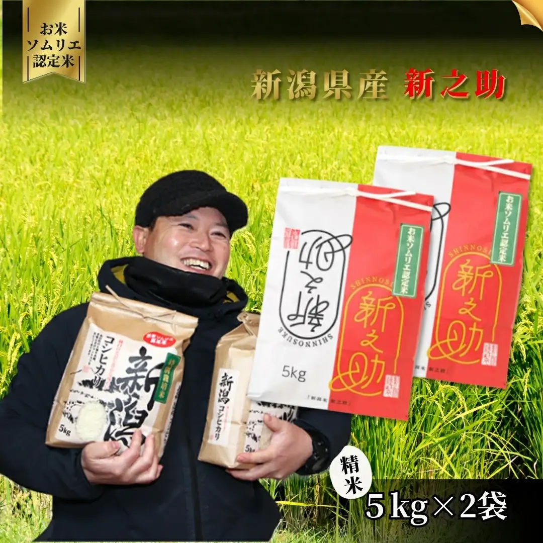 【先行予約】令和8年度産 新之助 精米 10kg（5kg×2袋）| 新潟県産 新之助