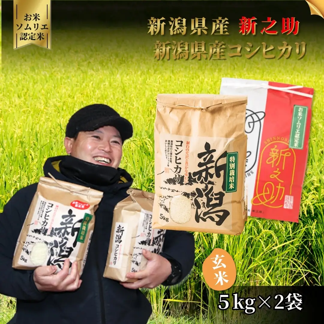 【先行予約】令和8年度産 玄米 食べ比べセット 10kg（コシヒカリ5kg、新之助5kg）