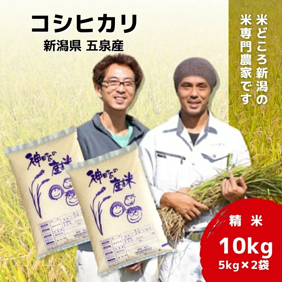 【令和8年産】コシヒカリ 10kg 5kg×2袋 わくわく農場｜コシヒカリ こしひかり