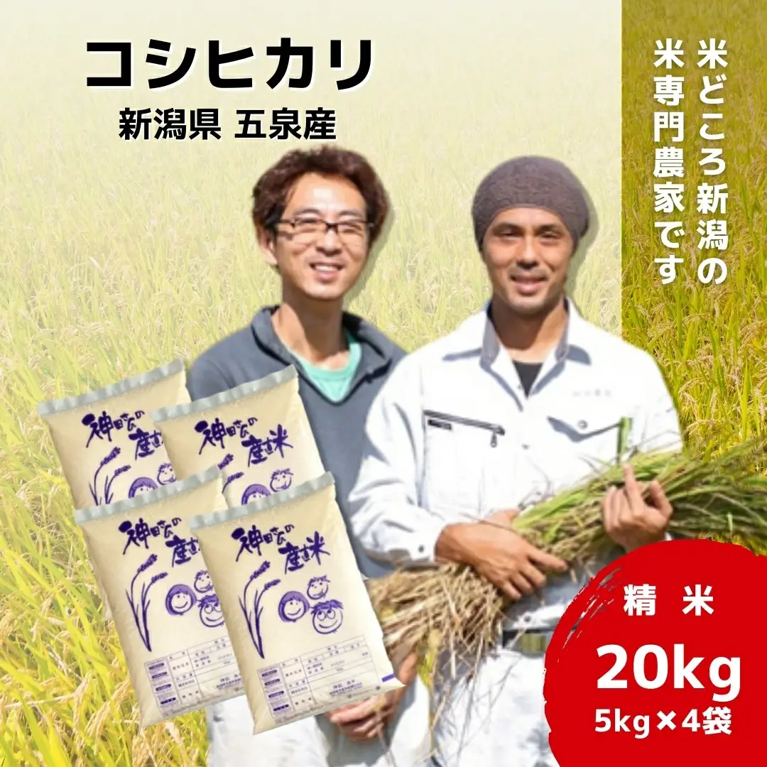 【先行予約】令和8年産 五泉産コシヒカリ 20kg（5kg×4袋）わくわく農場 | コシヒカリ 白米 米 新潟県産 五泉市