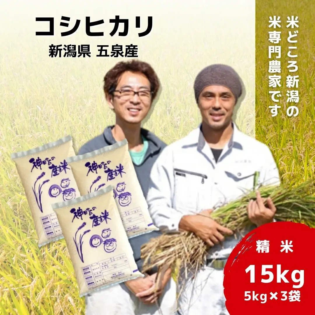 【先行予約】令和8年産 五泉産コシヒカリ 15kg（5kg×3袋）わくわく農場 | コシヒカリ 白米 米 新潟県産 五泉市