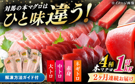 【全2回定期便】対馬産 本マグロ 4種 計1kg（赤身/中トロ/大トロ/ネギトロ） [WAH030] マグロ 赤身 中トロ 大トロ ネギトロ 