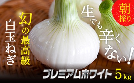 テレビで紹介されました 浜松篠原産新白玉ねぎプレミアムホワイト5キロ テレビで紹介されました