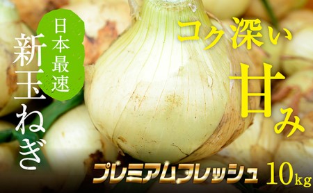 浜松篠原産新玉ねぎプレミアムフレッシュ10キロ【無選別品】 野菜 たまねぎ タマネギ 10kg 