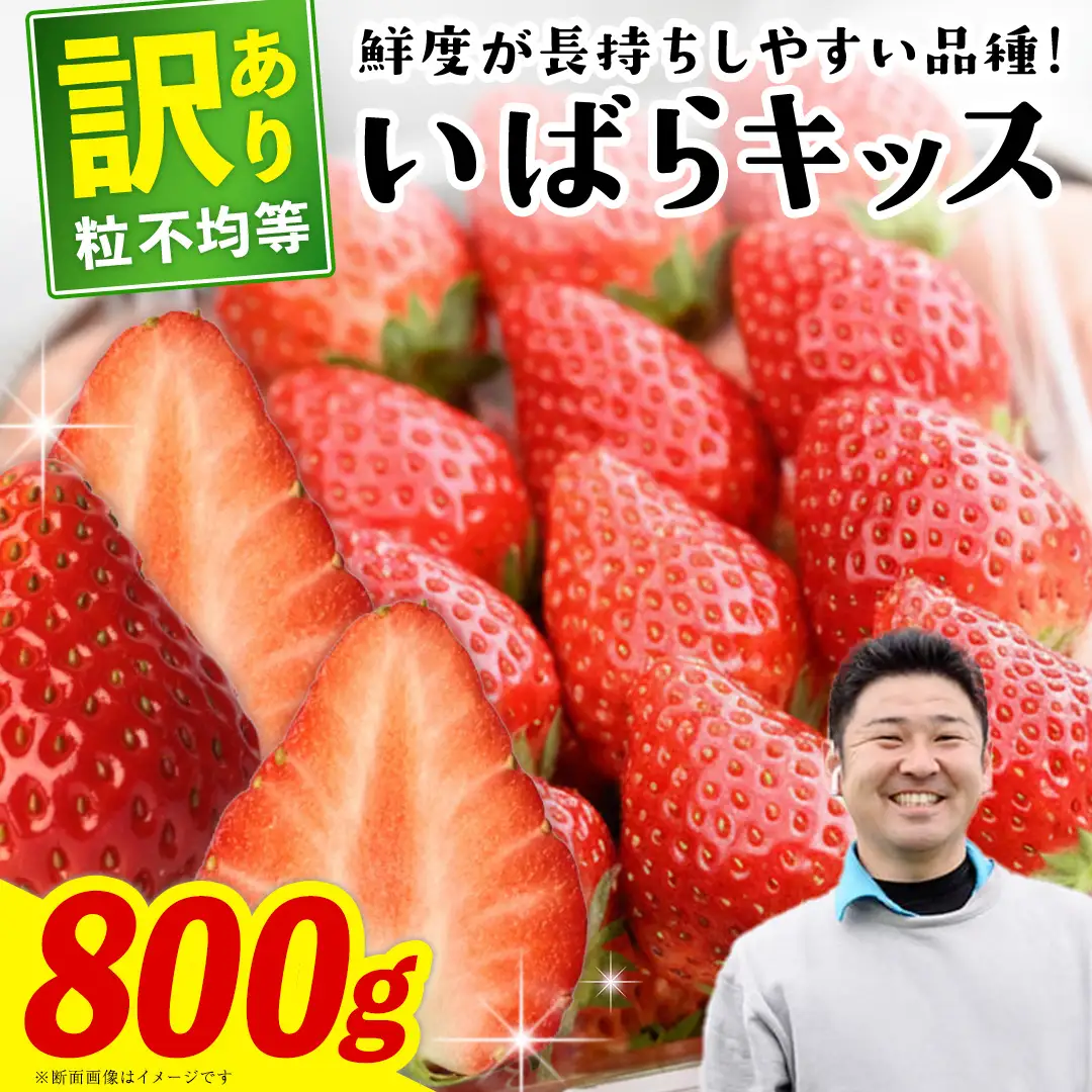 【 先行予約 】 訳あり いちご いばらキッス 800g 【 2027年2月以降発送 】  （常陸太田市 共通返礼品 ) 