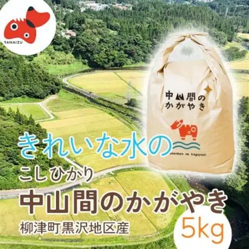 【R8年産先行】 福島 柳津町 黒沢地区産 こしひかり 中山間のかがやき 5kg 〈11月発送開始〉【1535163】