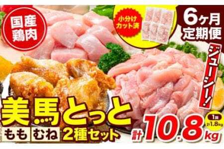  鶏肉 【6か月定期】 ももむね 計10.8kg