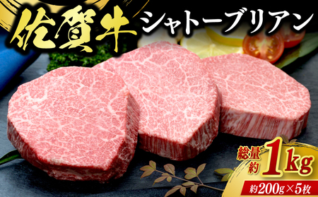 佐賀牛シャトーブリアン 5枚（計1kg） / 牛肉 ブランド牛 / 佐賀県 / ふるさとの恵み（YG） [41AQAA007]