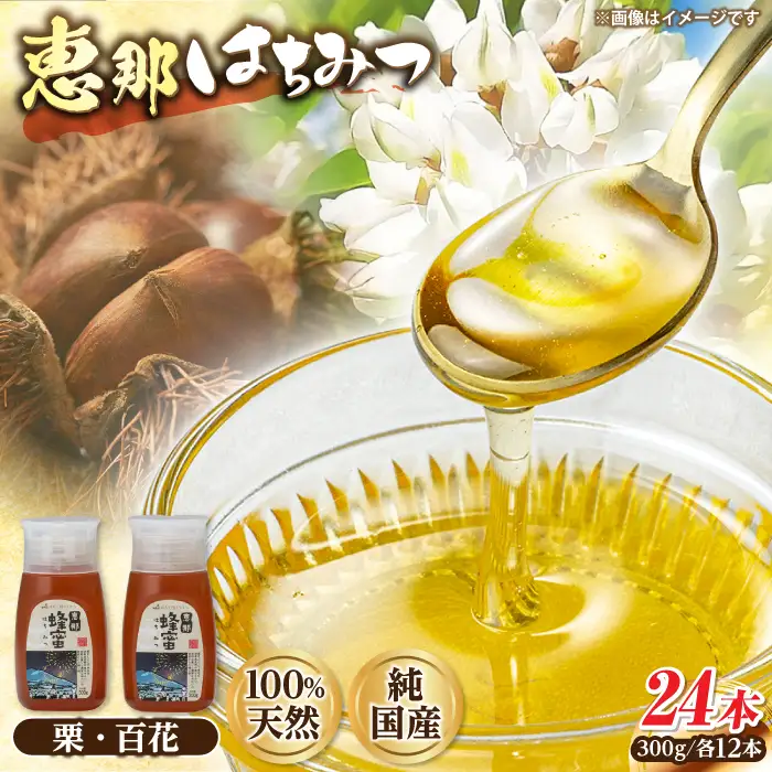 恵那蜂蜜 24本セット (百花蜂蜜300g×12本、栗蜂蜜300g×12本) / 恵那市 / はち工房こうけつ [AUDF045]