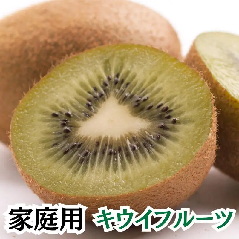 家庭用キウイフルーツ2.5kg+250g（傷み補償分）【わけあり・訳あり】【ikd137C】
