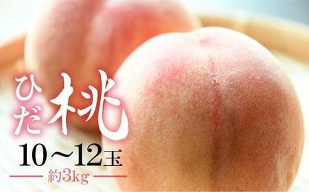 ひだ桃 10～12玉 3kg前後 飛騨もも CN010｜桃 飛騨 桃