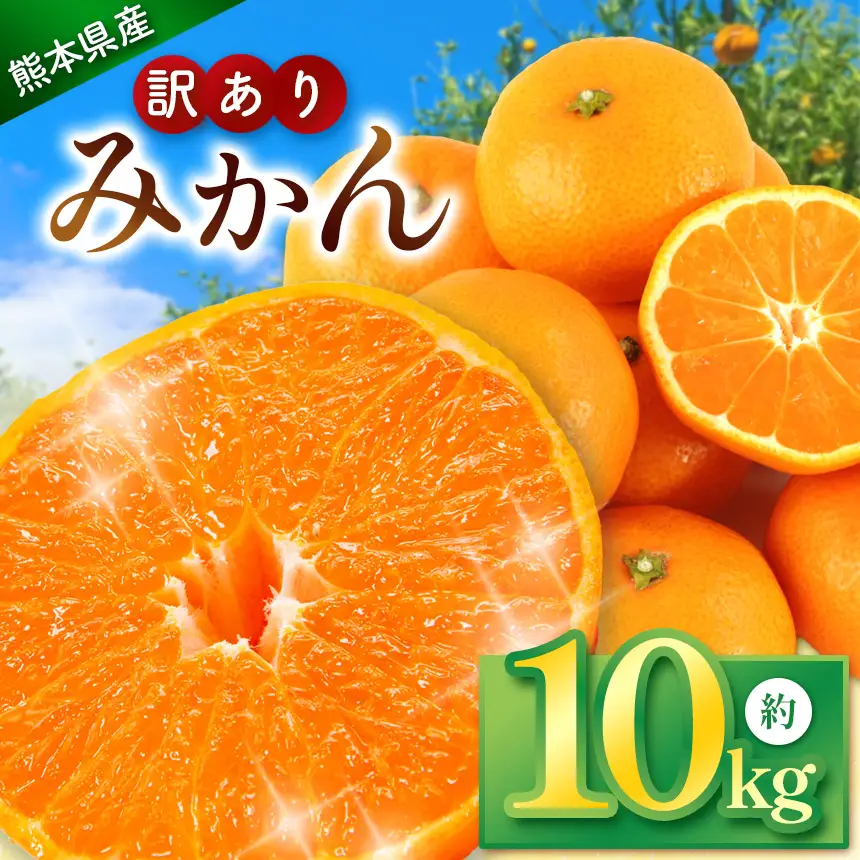 訳あり みかん 約10kg ｜iFARM岩城農園