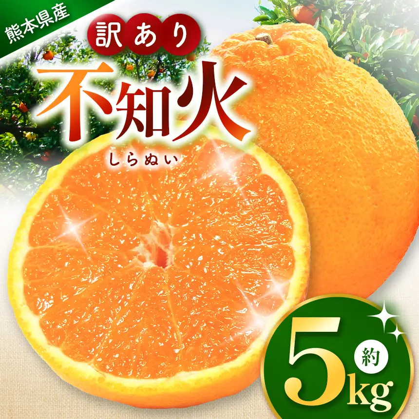 訳あり 不知火 約 5kg｜iFARM 岩城農園