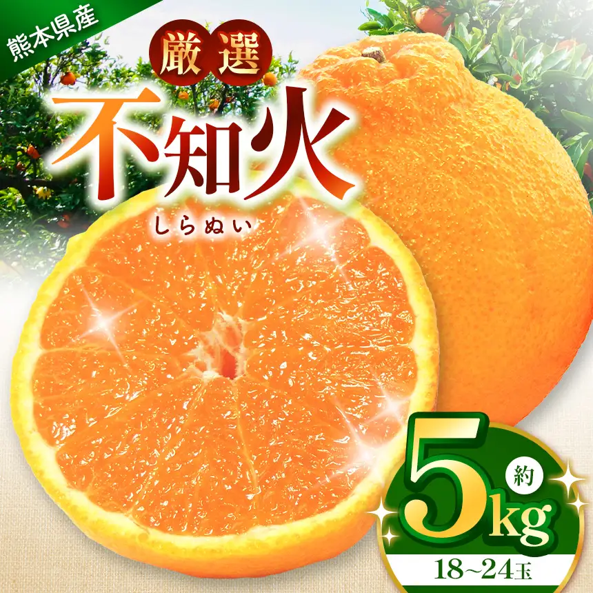 不知火 約5kg（18～24玉）｜ iFARM 岩城農園