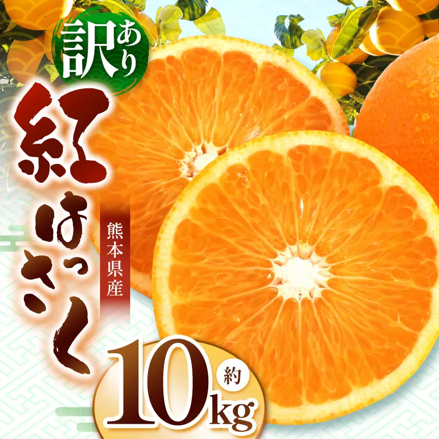 紅八朔 訳あり 約10kg｜iFARM 岩城農園