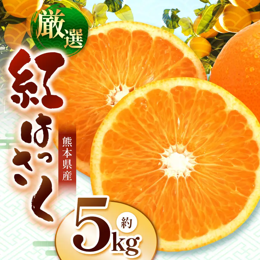紅八朔 約5kg｜iFARM 岩城農園