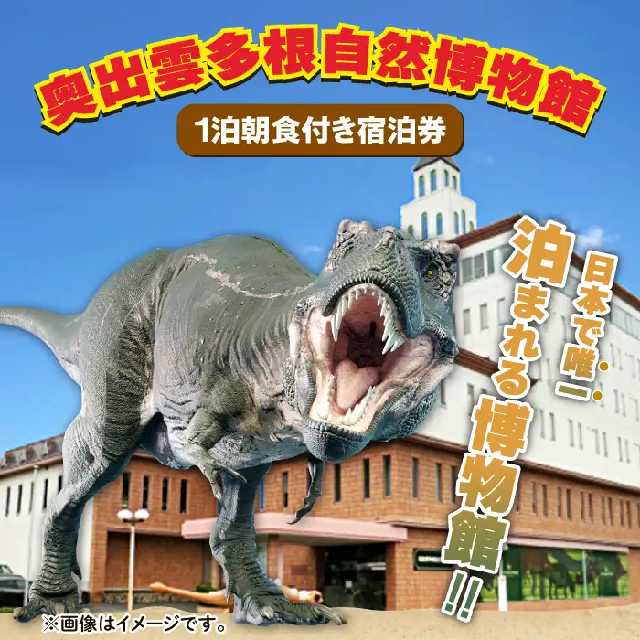 泊まれる博物館｢1泊朝食付き宿泊券｣1名様【宿泊券 宿泊 旅行券 温泉 観光 旅行 旅 1食付き 朝食付き 1名様 恐竜 博物館 天然温泉 入浴券 温泉 トラベル 体験 チケット 島根県 奥出雲町】