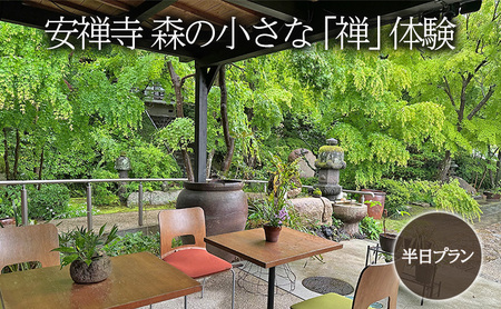 体験チケット 森の小さな「禅」体験坐禅 お茶席 写経 鍼灸 安禅寺 体験チケット