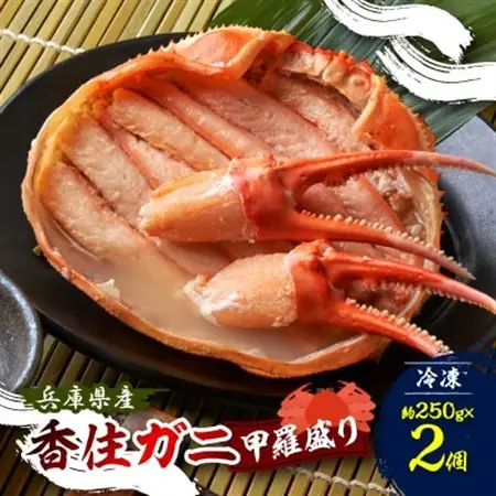 香住ガニ 甲羅盛り 約250g×2個 【2026年9月中旬以降出荷予定】【配送不可地域：離島】【1531254】
