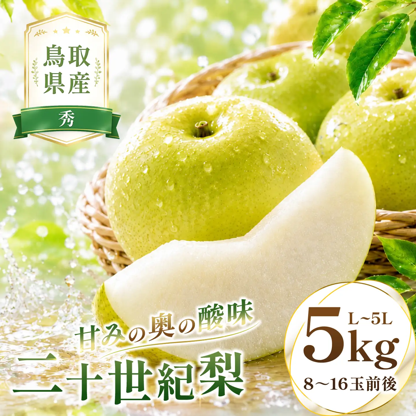 二十世紀梨　秀5kg前後【梨 秀品 5kg 20世紀 二十世紀 先行予約 期間限定 数量限定 フルーツ 果物 なし ナシ 贈答 贈り物 ギフト お取り寄せ 産地直送 鳥取県】