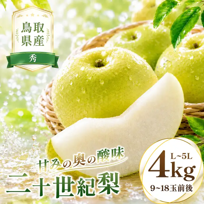 二十世紀梨　秀4kg【梨 秀品 4kg 20世紀 二十世紀 先行予約 期間限定 数量限定 フルーツ 果物 なし ナシ 贈答 贈り物 ギフト お取り寄せ 産地直送 鳥取県】