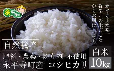 【先行予約】令和７年産 新米 自然栽培米 永平寺町産 コシヒカリ  白米 10kg  11月上旬順次配送予定 無農薬 化学肥料 除草剤 不使用 福井県 永平寺 