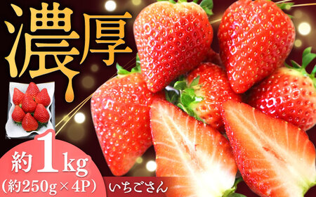 【2027年2月下旬発送】いちごさん 約1kg（約250g×4パック） / 佐賀県 / リフルット株式会社 [41ABAA001]