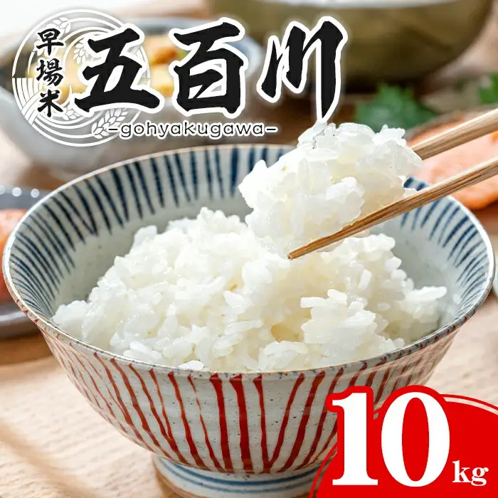 【令和8年産 新米】五百川 10kg お米 おこめ 米 コメ 白米 早場米 極早生品種 ご飯 ごはん おにぎり お弁当【赤間農業開発株式会社】ta459