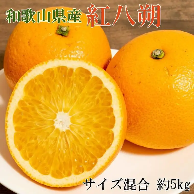［希少品］和歌山県産紅八朔約5kg（サイズ混合）★2027年１月下旬頃より順次発送［先行予約］［TM88］