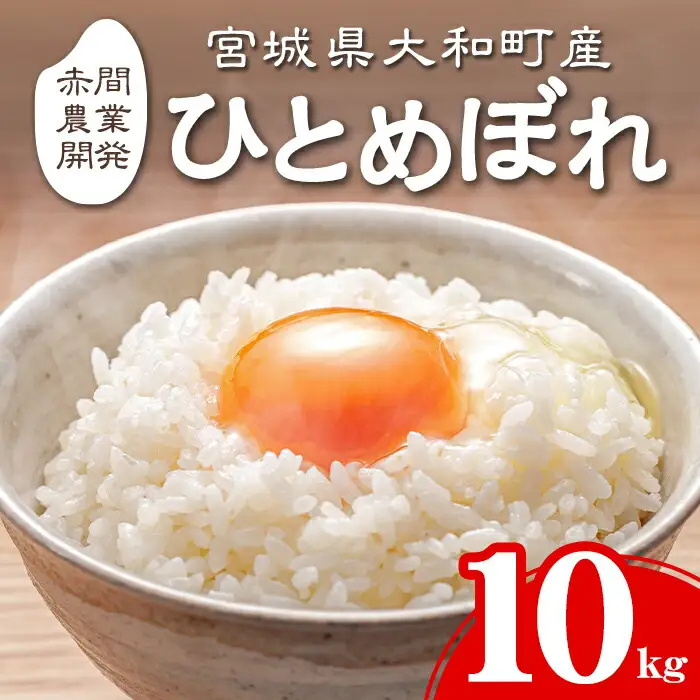 【令和8年産 新米】＜先行予約受付中！R8年9月下旬から順次発送予定＞ ひとめぼれ 10kg お米 おこめ 米 コメ 白米 ご飯 ごはん おにぎり お弁当【赤間農業開発株式会社】ta461