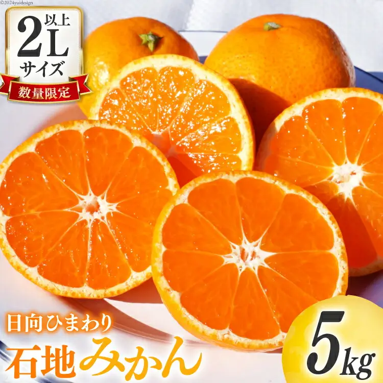 【期間限定発送】 みかん 2L サイズ以上 石地みかん 5kg