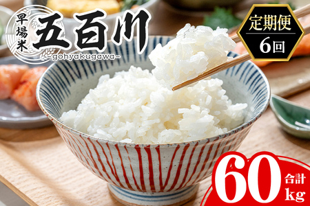 ＜6か月定期便＞ 五百川 合計60kg (10kg×6回) お米 おこめ 米 コメ 白米 早場米 極早生品種 ご飯 ごはん おにぎり お弁当 頒布会【赤間農業開発株式会社】ta463