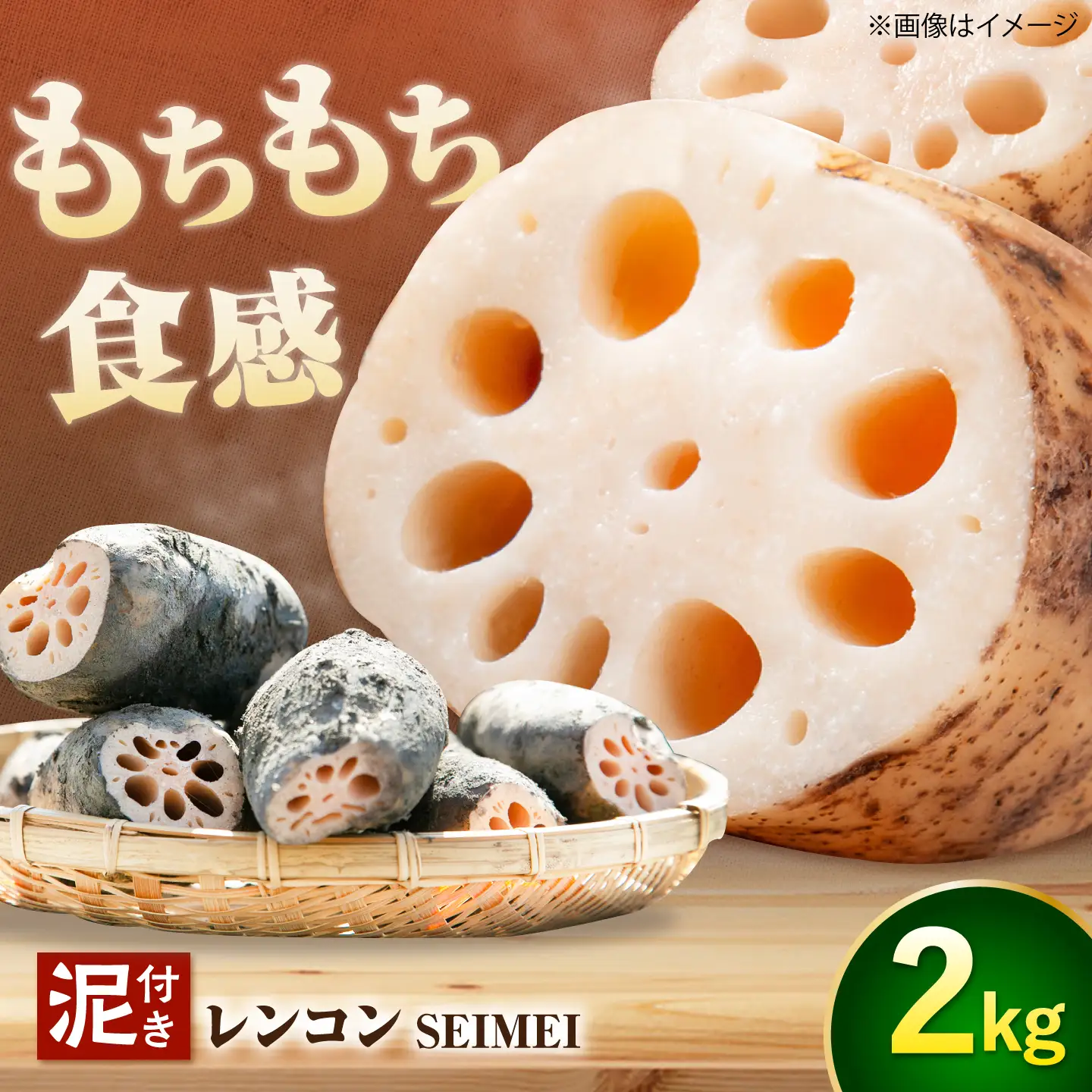 【8月中旬より順次発送】れんこん 2kg 「SEIMEI」 手掘り 蓮根 レンコン / 水谷グルッポ[AEBX001]