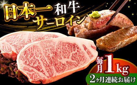 【2回定期便】A4-A5 長崎和牛 サーロインステーキ（250g×4）和牛ステーキ [DBS089] 和牛サーロインステーキ