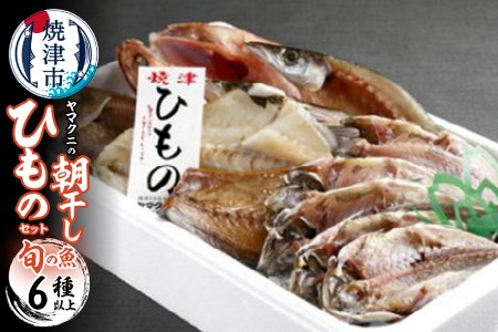 【チルドでお届け】朝干しひものセット6種以上！ (a15-383)