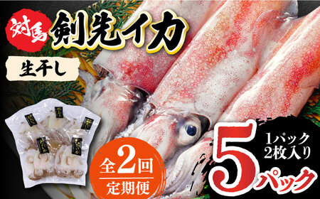 【全2回定期便】対馬産 剣先いか 生 干し [WAC059] 剣先イカ いか 一夜干し