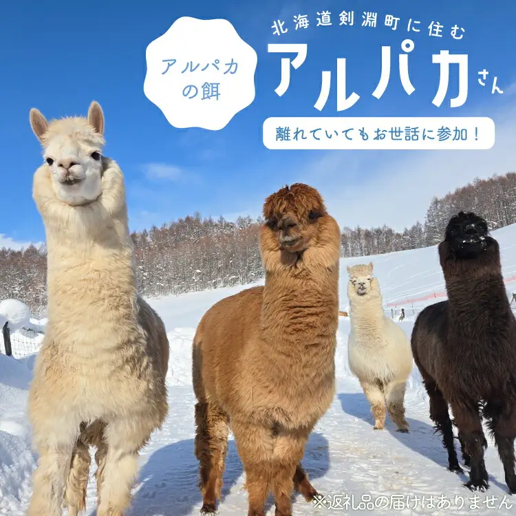 アルパカのエサ