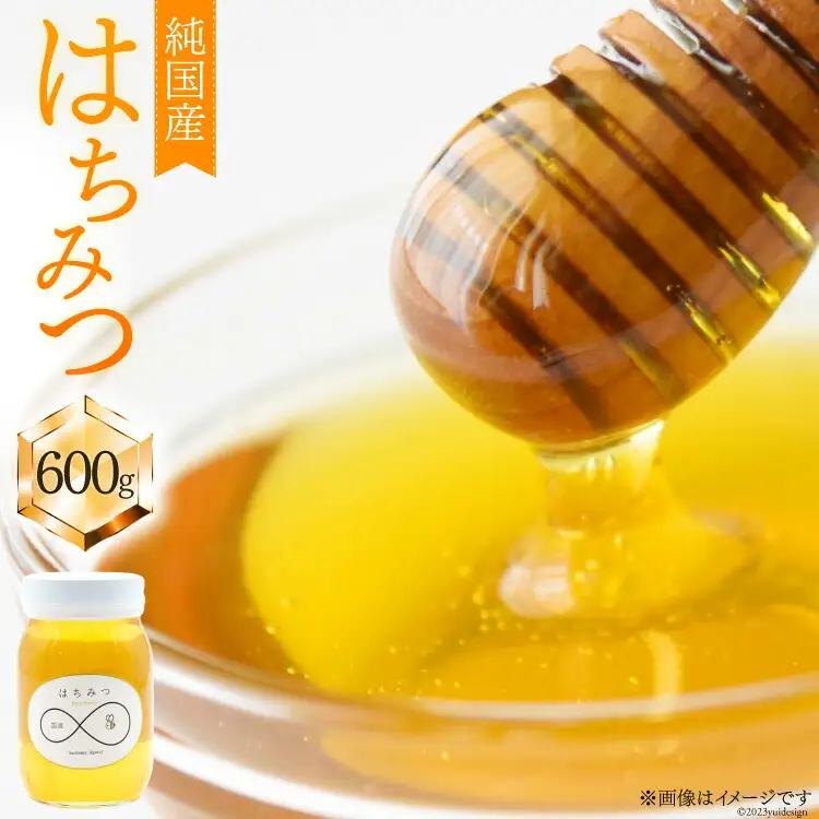国産 ハチミツ 600g 1個