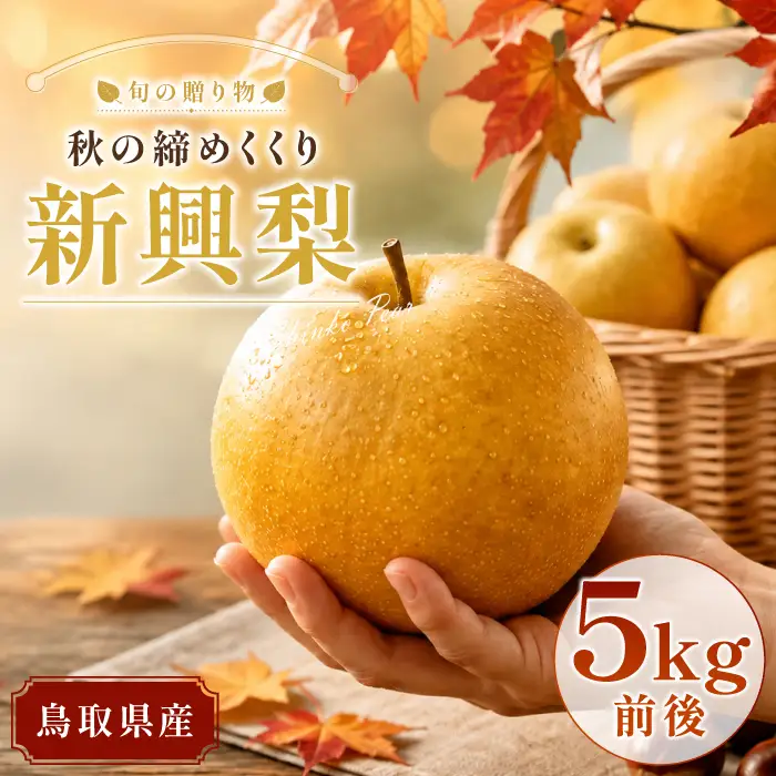 新興梨　5kg【梨 赤梨 新興梨 しんこうなし 5kg 先行予約 期間限定 数量限定 なし ナシ 果物 くだもの フルーツ 旬 高糖度 甘い 上品 贈り物 ギフト お取り寄せ 産地直送 鳥取県】
