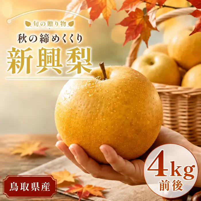 新興梨　4kg【梨 赤梨 新興梨 しんこうなし 4kg 先行予約 期間限定 数量限定 なし ナシ 果物 くだもの フルーツ 旬 高糖度 甘い 上品 贈り物 ギフト お取り寄せ 産地直送 鳥取県】