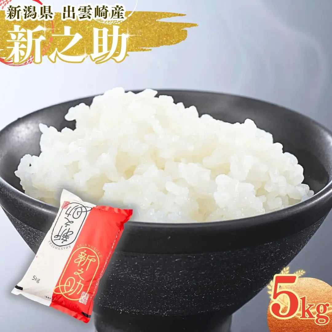 新之助 精米 お米 5kg | 新之助 令和7年産