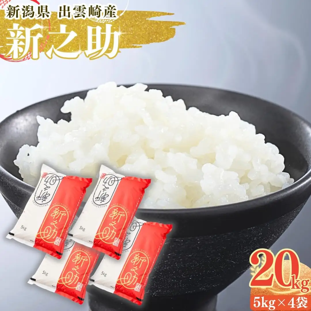 新之助 精米 お米 20kg | 新之助 令和7年産