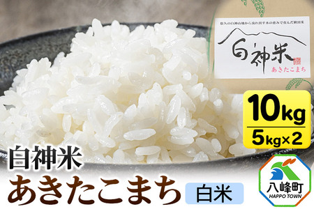 米 あきたこまち 白神米 秋田県産 10kg【白米】令和7年産