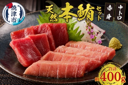 『まぐろの魚二』天然本鮪中トロ・赤身約400gセット (a17-020)